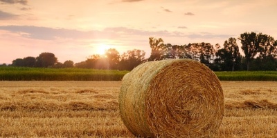 Come aprire la Partita IVA agricola: quali le agevolazioni?