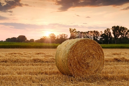 Come aprire la Partita IVA agricola